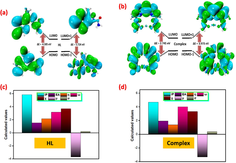 The Contour plots representing HOMO and LUMOs of (a,c) HL and (b,d) complex.