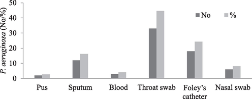 Presence of P. aeruginosa isolates from different clinical samples.