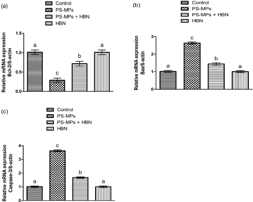 Impact of PS-MPs and HBN on the expression of apoptotic markers. Bars are are shown on the basis of Mean ± SEM. Bars with different superscripts are significantly (P<0.05) different from others. All the values in the table are based on 12 biological replicates per group with 3 technical replicates of each.