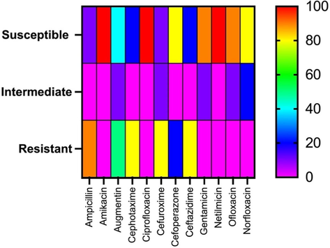 Heatmap of isolates showing susceptibility, intermediate susceptibility, and resistance against twelve antibiotics tested.