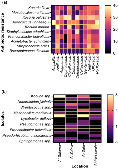 Heatmap of antibiotics-resistant strains. (a) Strain-based antibiotics susceptibility. (b). Number of isolates per location.