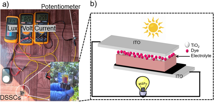 (a) Schematic of the I-V measurement under the direct sunlight and (b) Illustration of the components and working principle of DSSCs.