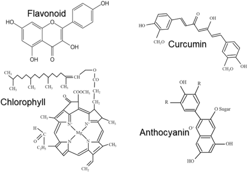 Chemical structures of key organic compound found in natural photosensitiser extracts, including flavonoid, curcumin, chlorophyll, and anthocyanin.