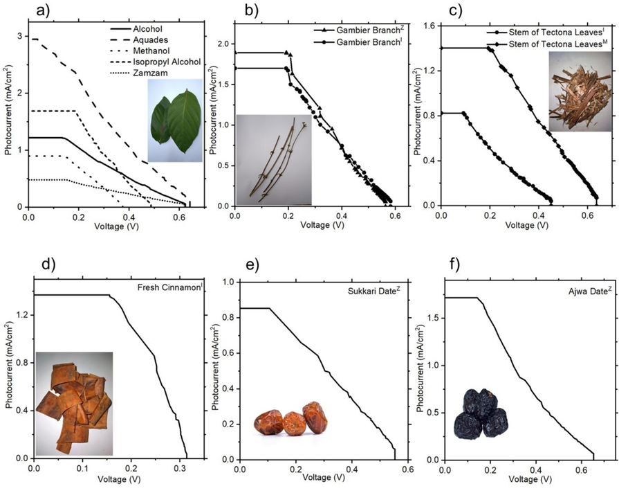 Performance curves of DSSCs with photoanode sensitized using extract from various natural materials and different solvents. (a) Gambier leaves, (b) Gambier branches, (c) Petiole of tectona leaves, (d) Cinnamon, and (e-f) Date fruits.