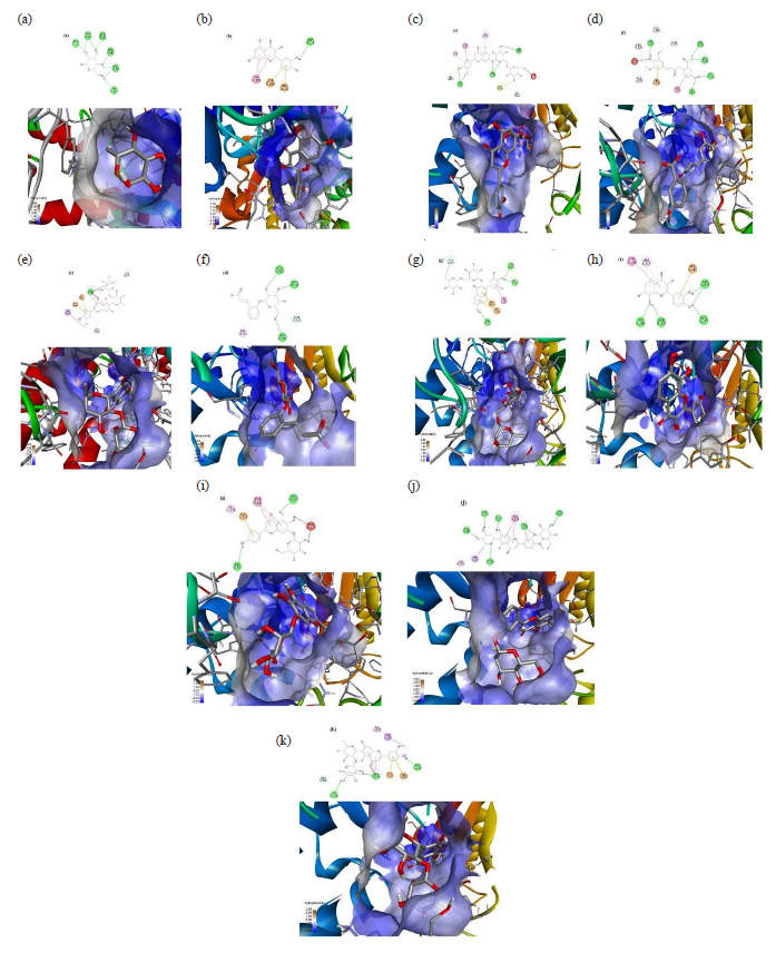 The interaction of the selected compounds with 3A4A protein: (a) Native ligand; (b) Quercetin; (c) m-Coumaric acid; (d) cis-β-D-Glucosyl-2-hydroxycinnamate; (e) Luteolin 7-rhamnosyl(1->6)galactoside; (f) Avenanthramide 2s; (g) Robinetin 3-rutinoside; (h) Melanoxetin; (i) Scutellarein 7-glucoside; (j) Torosaflavone B 3’-O-β-D-glucopyranoside; (k) 2’’-O-α-L-Rhamnosyl-6-C-fucosyl-3’-methoxyluteoiin.