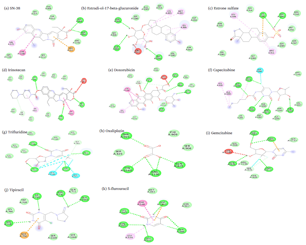 Predicated binding sites of MRP2 with (a) irinotecan, (b) SN-38, (c) estradiol, (d) doxorubicin, (e) estrone sulfate, (f) capecitabine, (g) trifluridine, (h) oxaliplatin, (i) gemcitabine, (j) tipiracil, (k) 5-FU (Legends: Green: Van der Waals interactions, Green dashed-lines: Hydrogen bond, Gray dashed-lines: Carbon hydrogen bond, Cyan: Halogen interactions, Orange dashed-lines: Pi-cation interactions; Pink dashed-lines: Pi-Alkyl interactions (Pi-Pi stacked interactions); Light pink dashed-lines: Alkyl interactions; Red dashed-lines: unfavorable interactions.