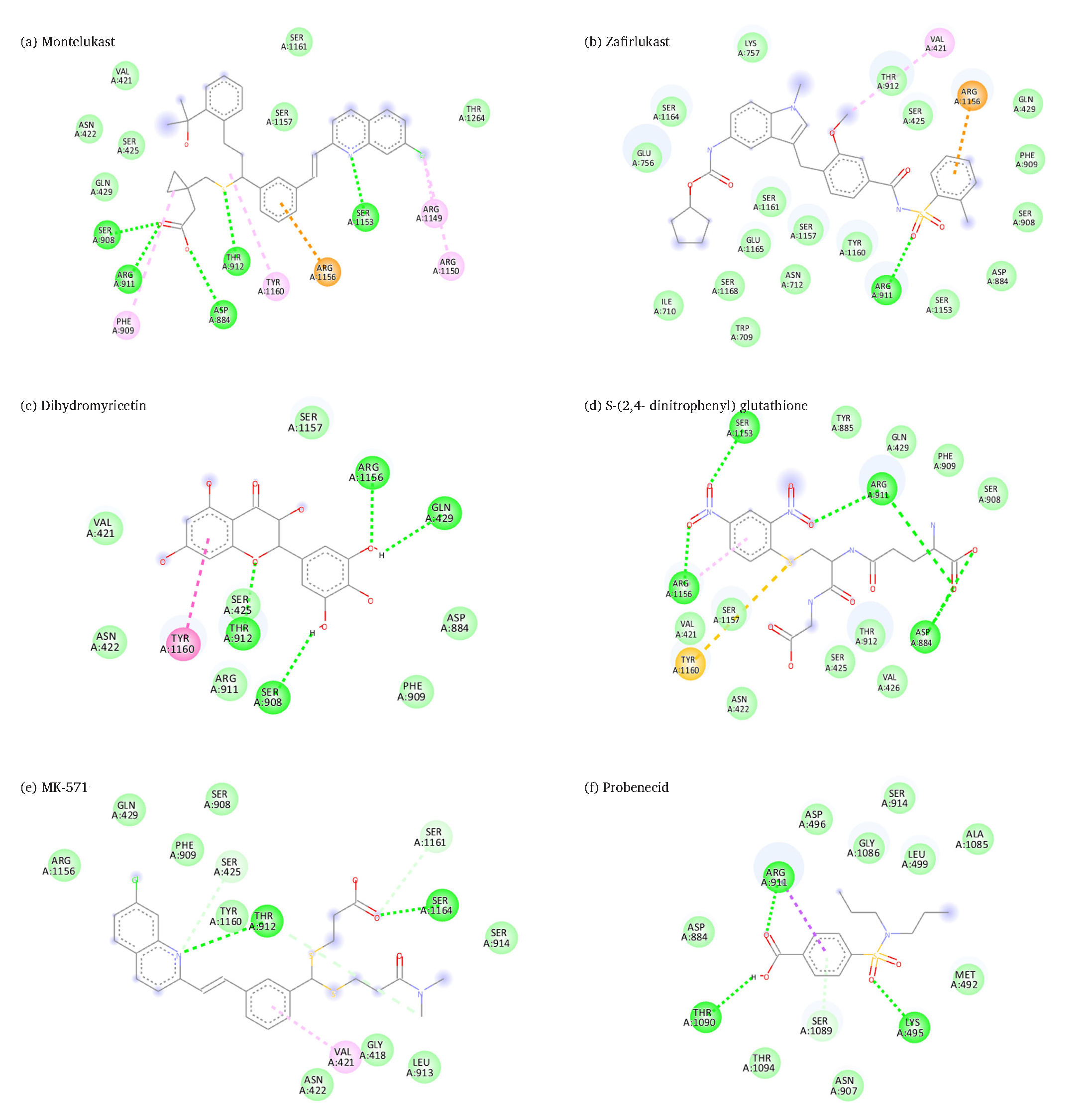 Predicated binding sites of MRP2 with (a) montelukast, (b) zafirlukast, (c) dihydromyricetin, (d) S-(2,4- dinitrophenyl) glutathione, (e) MK-571, (f) probenecid, (Legends: Green: Van der Waals interactions, Green dashed-lines: Hydrogen bond, Gray dashed-lines: Carbon hydrogen bond, Cyan: Halogen interactions, Orange dashed-lines: Pi-cation interactions; pink dashed-lines: Pi-Alkyl interactions (Pi-Pi stacked interactions); light pink dashed-lines: alkyl interactions; red dashed-lines: unfavorable interactions.