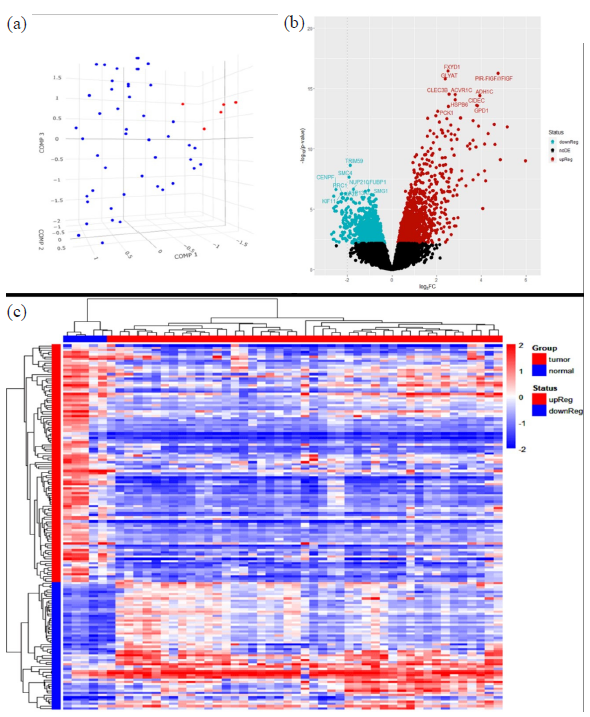 Identification of novel biomarker RPS21 using microarray-based whole ...