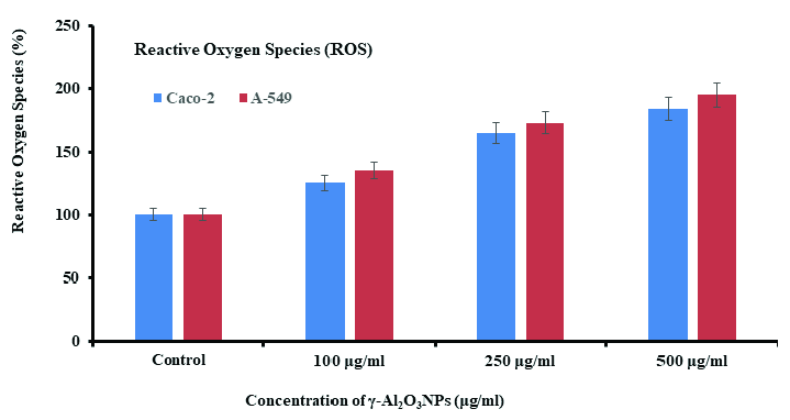 ROS generation induced by ZnFe2O4NPs in Caco-2 and A-549 cells exposure to γ-Al2O3NPs at 100, 250, and 500 μg/mL with a control for 24 hrs. The values are mean ± SE of three independent experiments (p<0.05). SE: Standard error.