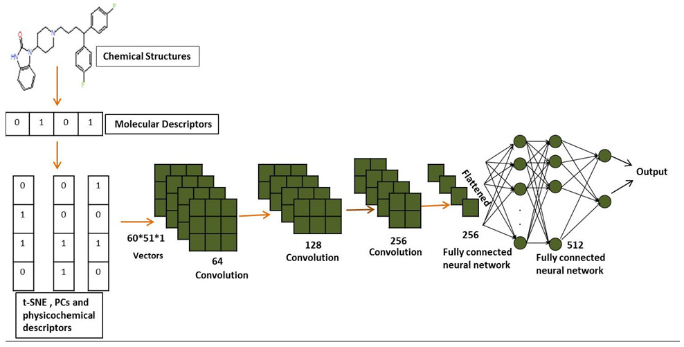CNN architecture for QSAR model of hERG potassium channel blockers.