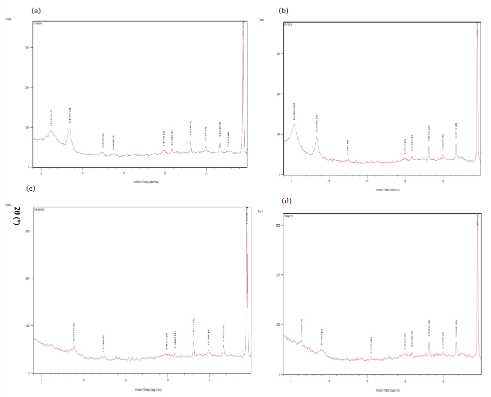 Application of a new adsorption kinetic model for the removal of Zn(II ...