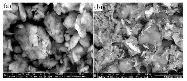 SEM micrographs of (a) Bento and (b) Mg/Bento. SEM: Scanning electron microscope.