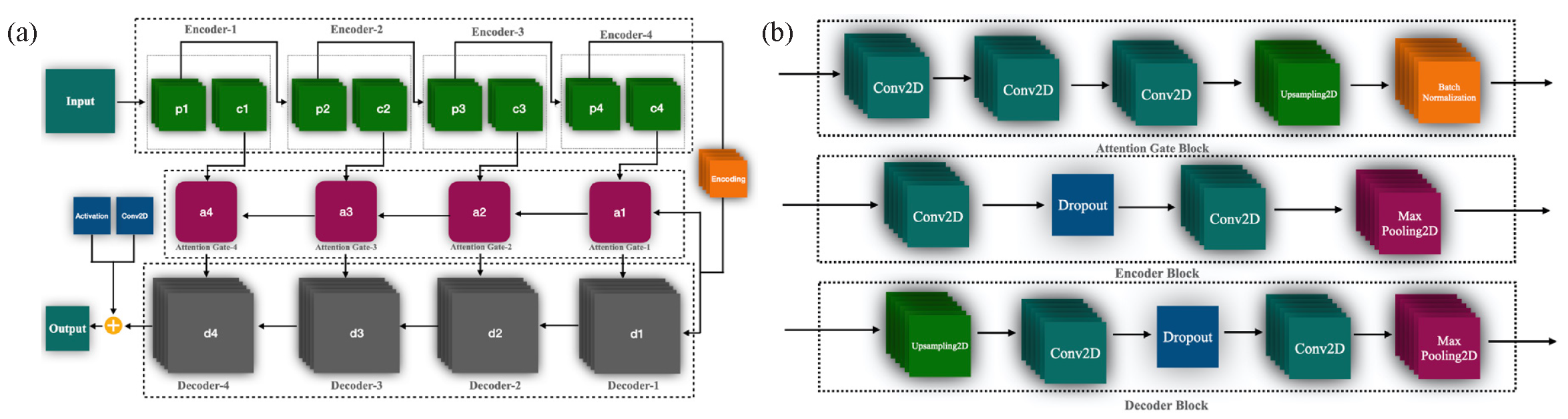 Provides a detailed architectural representation of the proposed model. (a) Illustrates the block diagram of individual components, including the encoding, decoding, and attention gate architectures, which play a crucial role in feature extraction and refinement. (b) Presents the overall structure of the proposed extended U-Net model, built upon a deep convolutional neural network, highlighting its enhanced capability for skin cancer segmentation and classification.